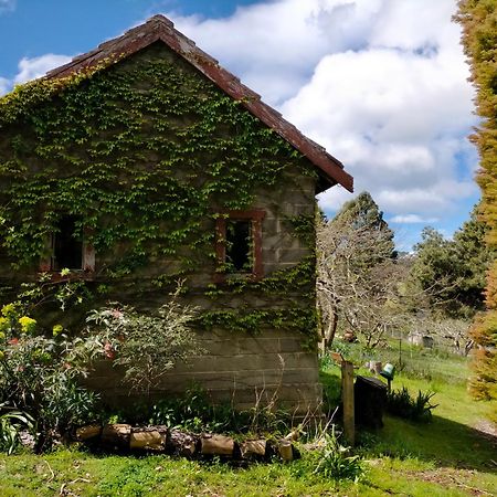 Hideaway Farmlet Romantic Cottage With Miniature Goats Penguin Exterior photo